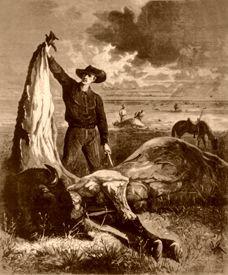 Ubity bizon, 1874